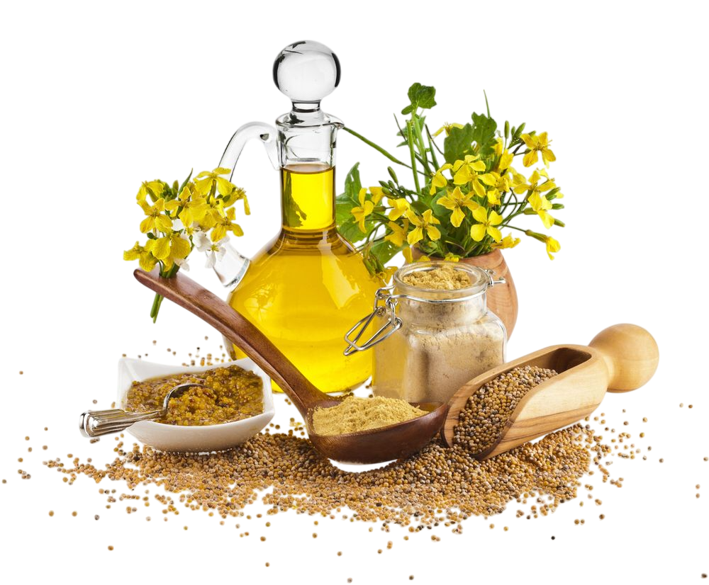 2c79d104118815c0592a1494aaba7210-Photoroom