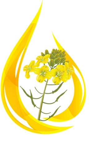 4df149ed71e58da7320048f49d7be88f-Photoroom 1 (1)