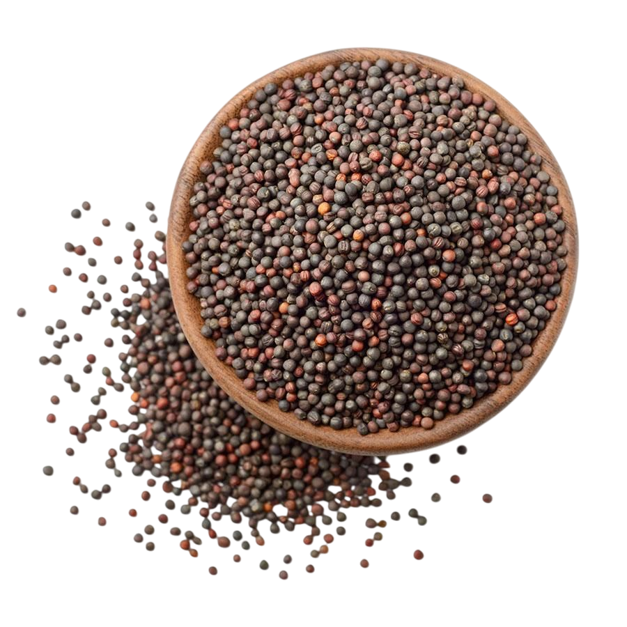 c56d99727ffa3f06957c9a2a3641f875-Photoroom