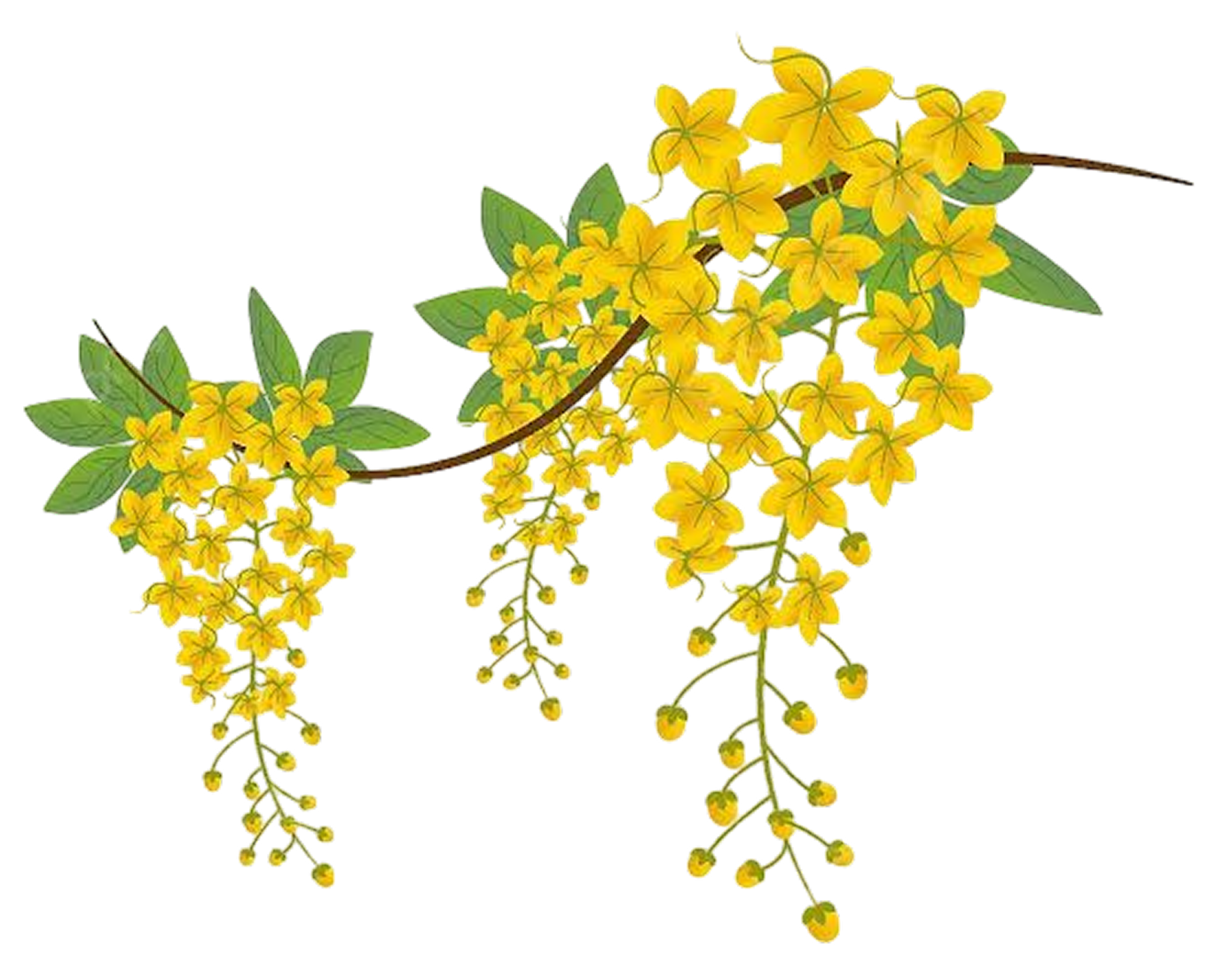 d630fa934bbc410b08e6fb2b73317b20-Photoroom 1