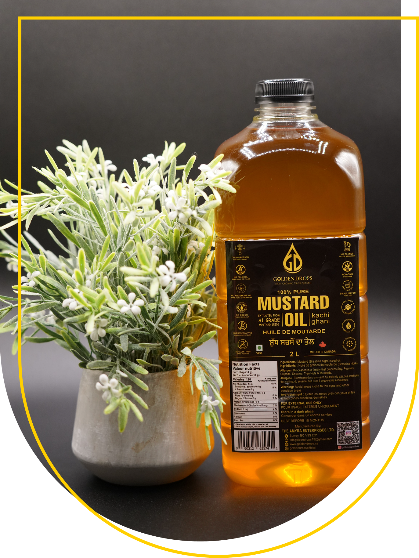 Group 1707485879 (3)